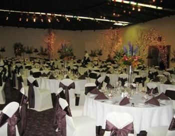 Alma Comfortable Inn Kültér fotó